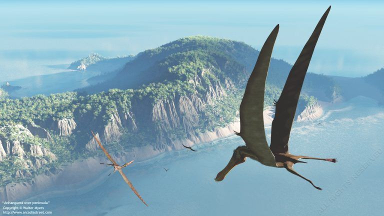 Lee más sobre el artículo Pterosaurios de Suramérica, surcando los cielos de Gondwana