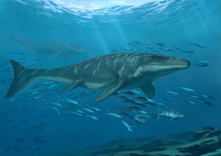 Lee más sobre el artículo Mosasaurios: dominando los mares del Cretácico tardío