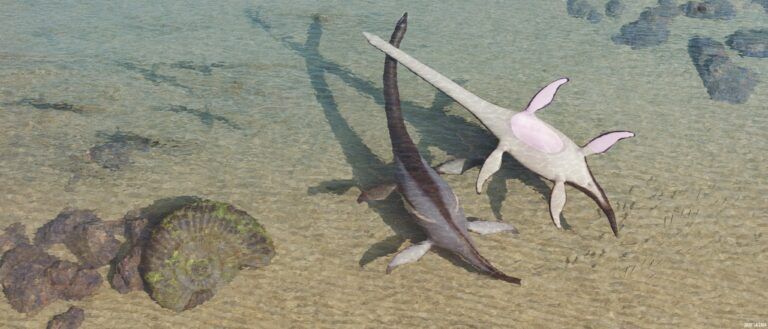 Lee más sobre el artículo Elasmosáuridos, plesiosaurios de cuello largo en el mar Cretácico colombiano