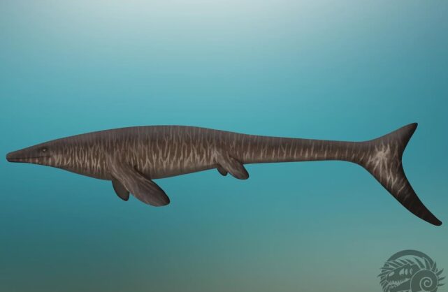 Oneirosaurus caballeroi: un nuevo mosasaurio de Colombia