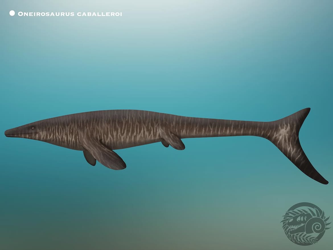 En este momento estás viendo <i>Oneirosaurus caballeroi</i>: un nuevo mosasaurio de Colombia