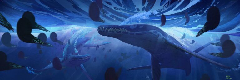 Lee más sobre el artículo <i>Sachicasaurus</i>, el superdepredador de los ecosistemas marinos de hace 125 millones de años