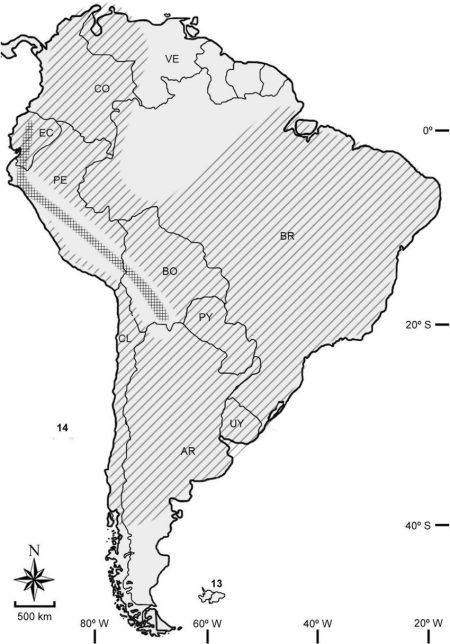Áreas de distribución de Cuvieronius hyodon (líneas cruzadas) y Notiomastodon platensis (líneas paralelas). Obsérvese que ambas líneas sólo se superponen en Ecuador. Tomado de Mothè y colaboradores (2016)