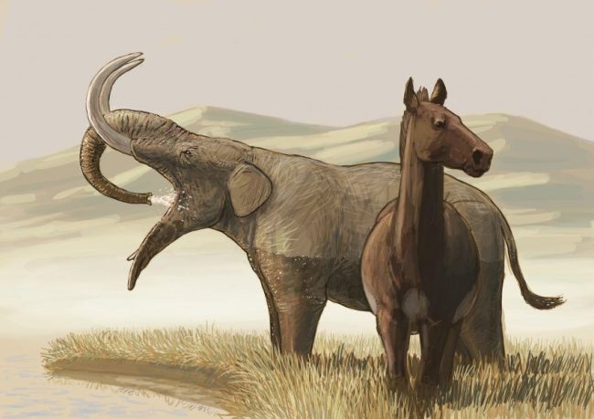 Choerolophodon bebiendo en la orilla de un río durante el Mioceno en algún lugar de Eurasia. Créditos Joschua Knüppe