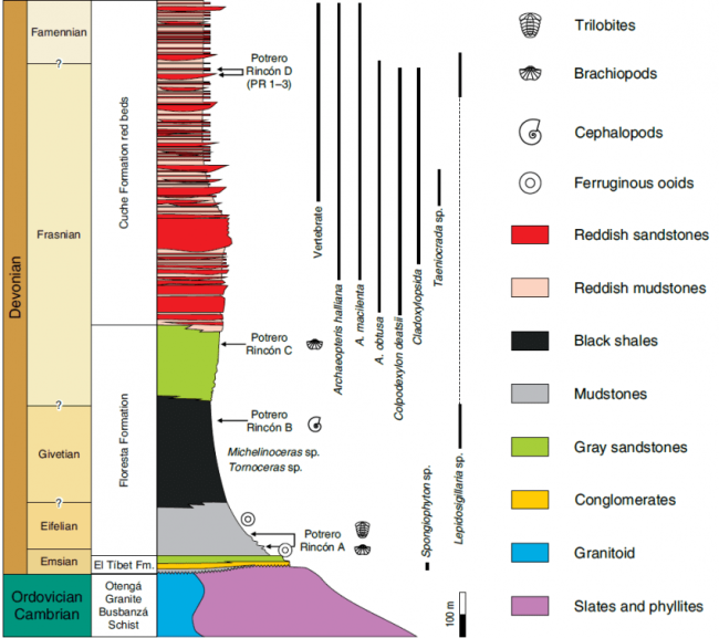 Columna geológica de las formaciones devónicas del Macizo de Floresta. Modificado de Moreno et al. (2020).