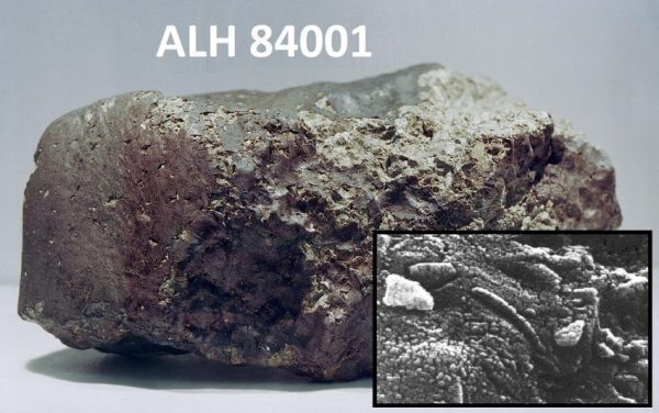 Meteorito ALH 84001 y los supuestos fósiles de bacterias. Imagen modificada de la base de datos de la NASA