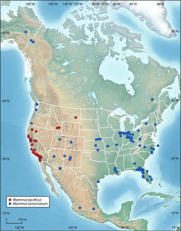 Distribución de los yacimientos de M. americanum y M. pacificus en Norteamérica. Tomado de McDonald et al. (2020)