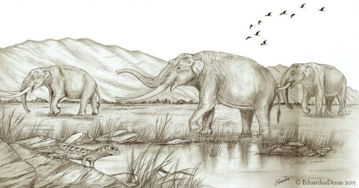 Un grupo de Notiomastodon platensis en el Pleistoceno tardío de Colombia. Créditos Eduardo Dimas