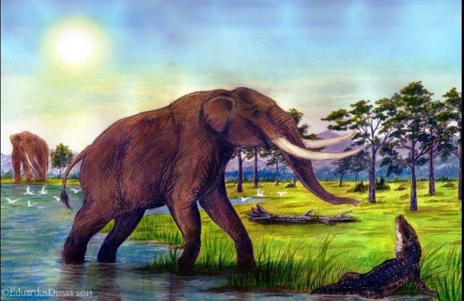 Notiomastodon en la actual zona de Pubenza durante el Pleistoceno tardío. Créditos Eduardo Dimas
