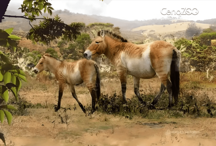 Yegua de Equus neogeus = E. (Amerhippus) andium y su cría. Créditos Roman Uchytel