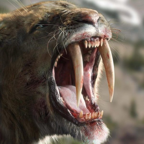 Smilodon. Tomado de la miniserie de la BBC "Ice Age Giants: Land of the Sabre-tooth". (2013)