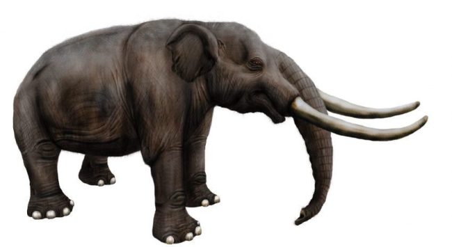 Reconstrucción de Notiomastodon platensis. Créditos Julián Bayona