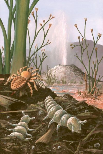 Primeros artrópodos en tierra firme junto a Cooksonia hace 400 Ma. Créditos Richard Bizley