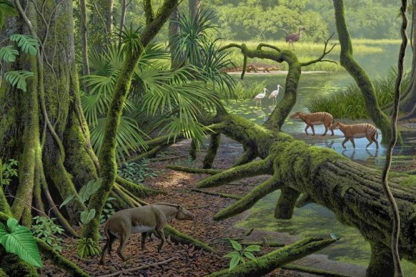 Propalaeotherium, un antiguo paleoterio del Eoceno medio del yacimiento de Messel, Alemania. Créditos Raúl Martín