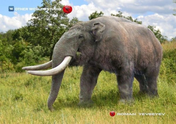Stegomastodon mirificus. Créditos Roman Yevseyev