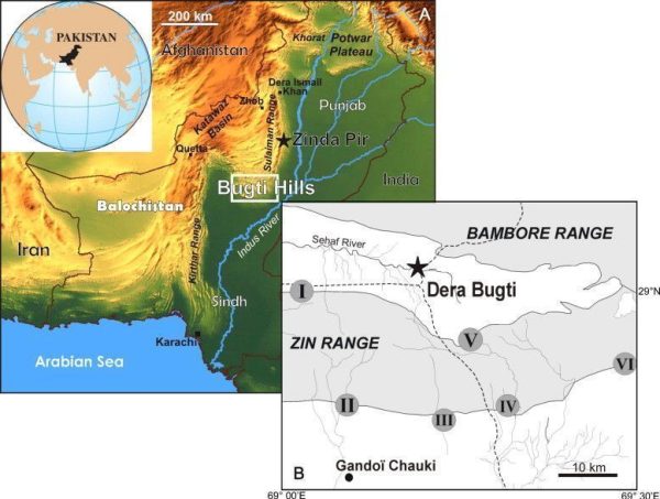 Ubicación de los yacimientos del Oligoceno tardío-Mioceno temprano en la zona de Bugti, en Pakistán. Tomado de Metais et al. (2009).