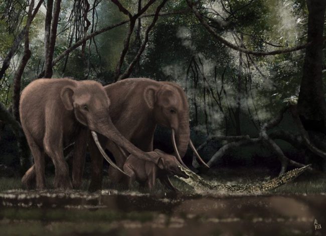 Una cría de Notiomastodon es sorprendida por un crocodilio a orillas del río Cauca durante el Pleistoceno tardío. Créditos Alberto Fuentes