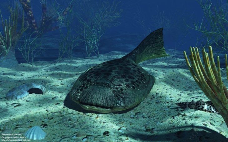 Un pez agnato de la especie  Drepanaspis gemuendenensis se arrastra por el lecho marino de un mar poco profundo del Devónico temprano hace 380 millones de años. Créditos Walter B. Myers