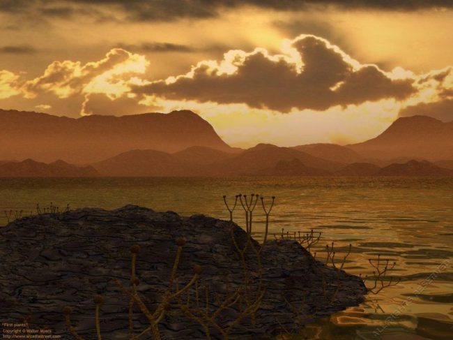 Cooksonia, una de las primeras plantas terrestres que existió establece un punto de apoyo sobre un montículo de lava ante una puesta de sol durante el Silúrico hace 425 millones de años. Créditos Walter B. Myers