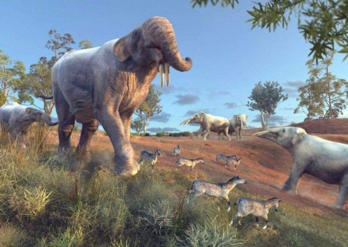 Prodeinotherium y Gomphotherium dos de los géneros de proboscídeos que evolucionaron durante el Mioceno temprano comparten hábitat con el pequeño équido Anchitherium. Créditos Fabio Manucci